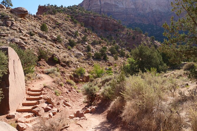 Zion National Park Small Group Tour From Las Vegas - Park Exploration and Activities