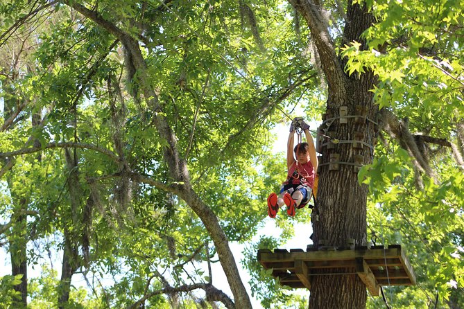 Zipline Adventure Through Tuscawilla Park - Tips for Your Visit