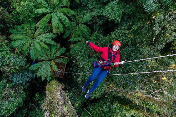 Ziplining Forest Experience - The Ultimate Canopy Tour Rotorua - Why Choose Rotorua for Ziplining