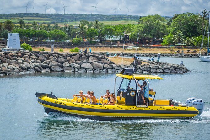 1.5 -Hour Guided Whale and Marine Life Tour - Location and Directions