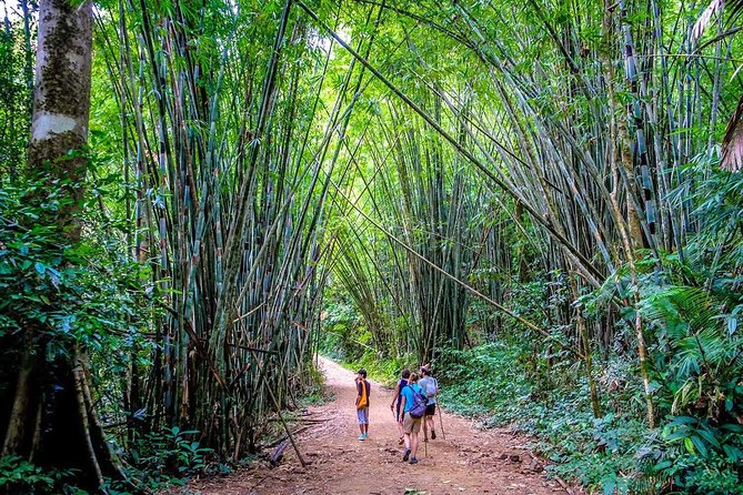 1 Day Khao Sok Jungle Safari and 2 Days Cheow Lan Lake Explorer From Krabi - Booking and Cancellation Policies