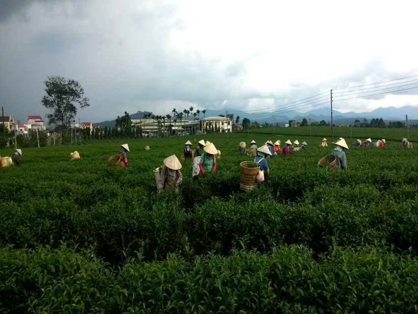 2-Day Easy Rider Da Lat - Bao Loc - Mui Ne or Vice Versa - Customer Feedback