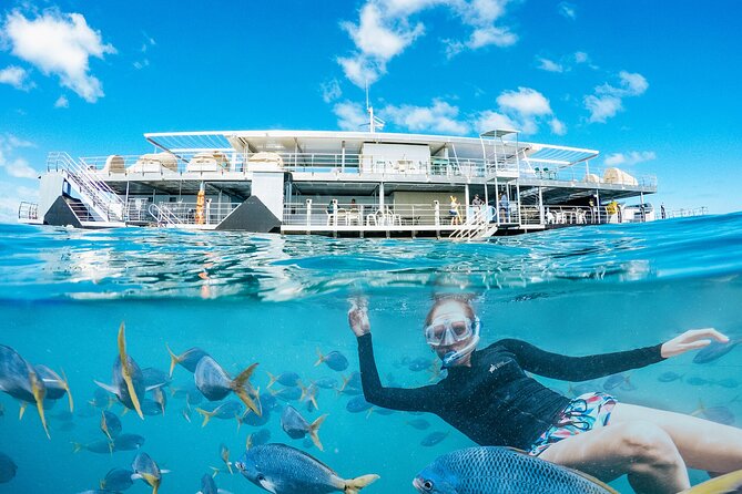 2-Day Great Barrier Reef: Reefsleep Experience - Tips for a Memorable Stay