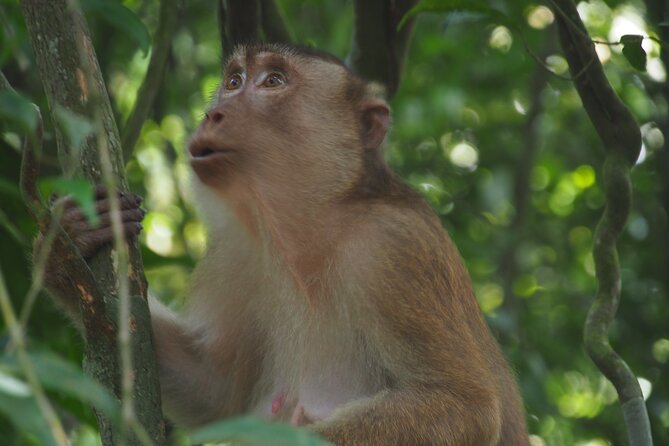 2-Day Jungle Trekking & Rafting in North Sumatra - What to Bring