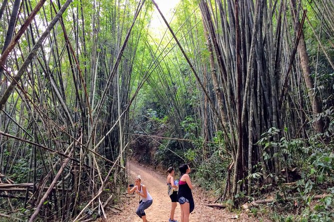 2-Day Khao Sok Jungle Safari From Krabi - Booking and Cancellation Policy