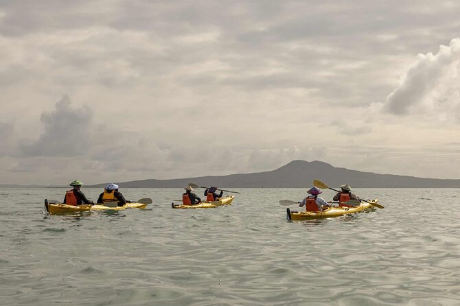 2-Day Waiheke Island Sea Kayak Tour - Accessibility Information