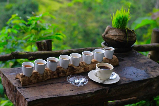 2 Days Best of Bali Famous Tour Packages - Additional Information