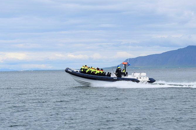 2-Hour RIB Boat Whale Watching Tour From Reykjavik - Puffin Sightings