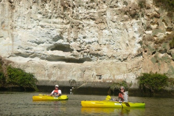 2-Hour Waikato River Guided Kayak Trip From Taupo - Tips for Your Kayak Adventure