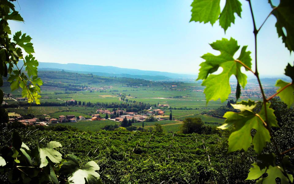 2-Hours Amarone Wine Tour With Sommelier Wine Tastings - Travel Tips