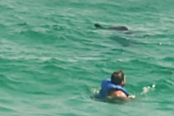 2 Hours Swim With the Dolphins in Panama City - Booking Information