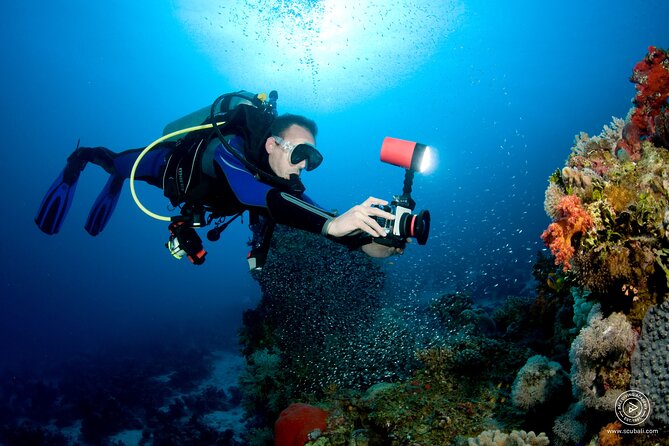 2 or 3 Dives in Nusa Lembongan and Penida, for Certified Diver (In Lembongan) - Cancellation Policy