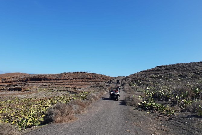 2h Buggy Tour Guided by the North of Lanzarote - Additional Information