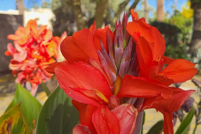3 Cities & Nature Tour. Shop, Art, History, Food. Scottsdale, Phoenix, & Tempe. - Shopping Opportunities