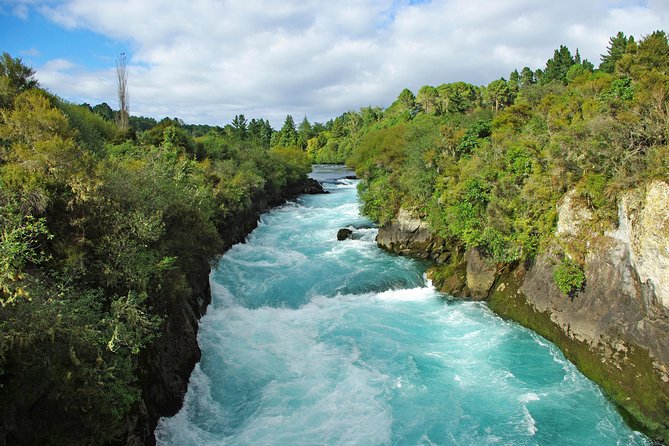 3-Day Hobbiton, Rotorua, Whakarewarewa, and Waitomo Tour - Reviews and Feedback