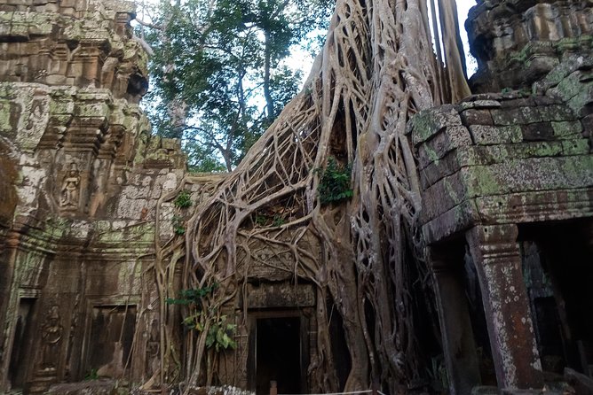 3 Days Private Angkor Tours & Floating Village From Dawn To Dusk - Tips for a Great Experience