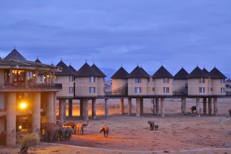 3 Days Safari to Saltlick Lodge From Nairobi - Wildlife and Activities