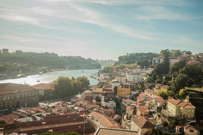 3-Hour Private Guided Walking Tour of the BEST of Porto - Private Tour