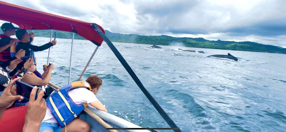 4 Days Adventure; Medellin to Nuqui- Whales!!! - Food and Dining Options