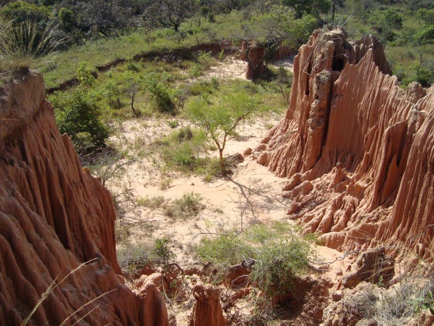 4- Hour Hiking Tour in Two Different Tropical Worlds - Preparation Tips