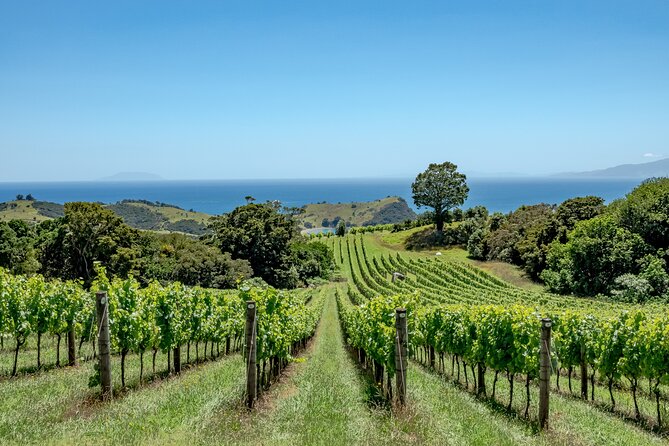 4-Hour Scenic Wine Tour With a Private Guide and 12 Tastings - Booking and Cancellation Policy