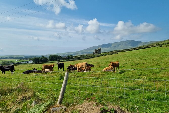 4 Hour Slea Head Drive Tour - Personal Chauffeur Guided Tour - Tips for Your Tour