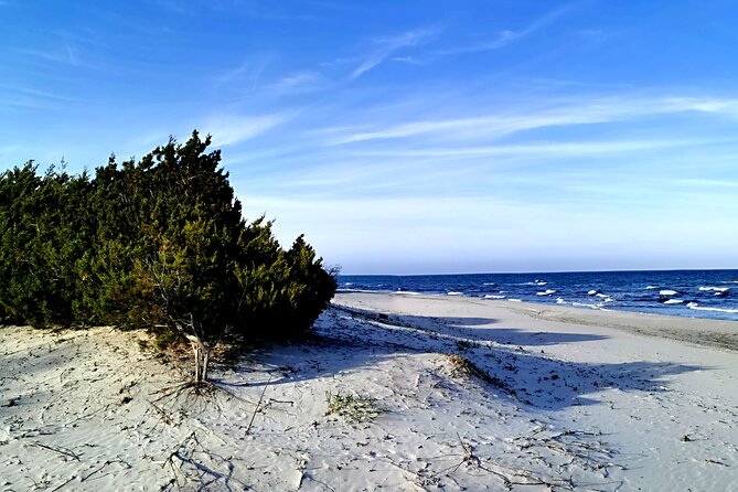 4 × 4 Excursion to the Beaches of Biderosa and Capo Comino - Review Highlights