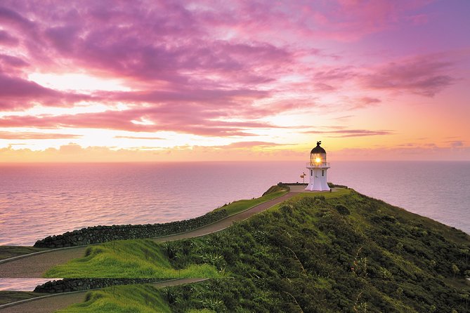 5-Day Bay of Islands Rotorua Waitomo Caves and Hobbiton Tour From Auckland - Day 5: Exploring Waitomo