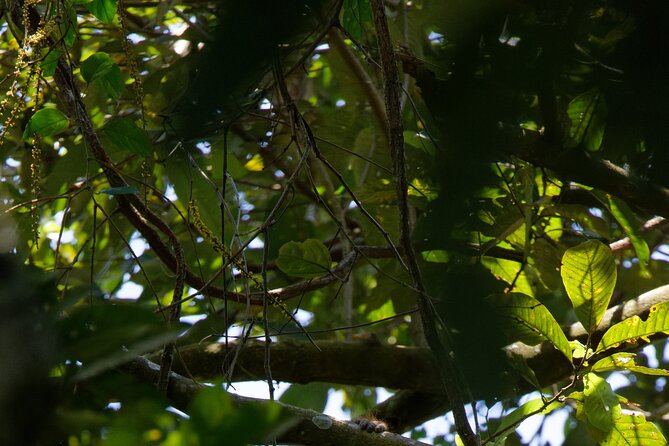 6 Days Bukit Lawang - Berastagi Tour (2D1N Jungle Treking + Sunrise Hiking) - Booking Information