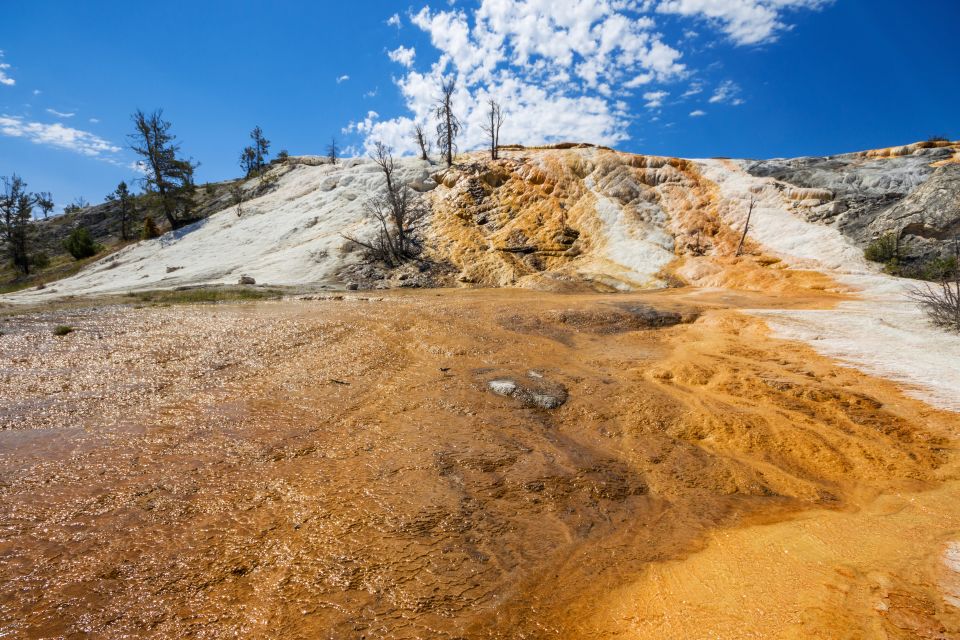 7-Day Yellowstone National Park Rocky Mountain Explorer - Inclusions