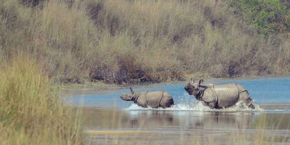 7 Days Central Nepal Tour - Frequently Asked Questions