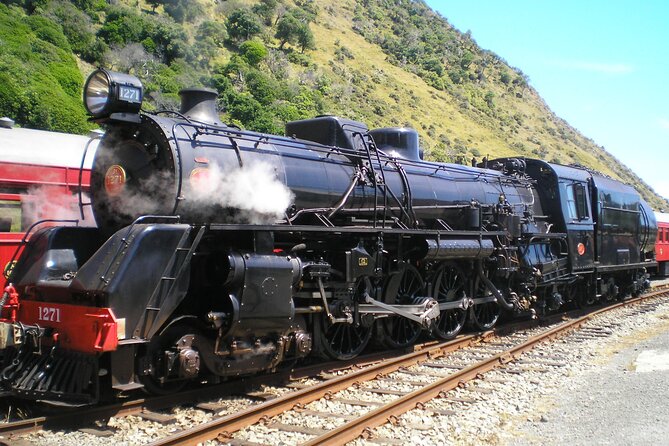 7-Hour Private Scenic Kapiti Coast Tour From Wellington - Accessibility Features
