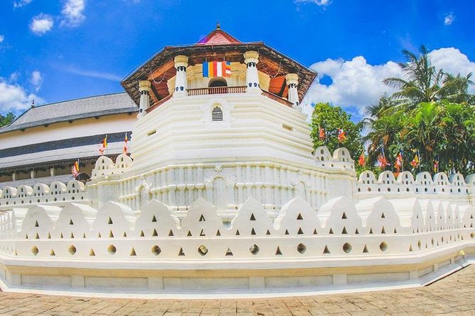8 Days Classic Tour Sri Lanka - Pricing and Group Size
