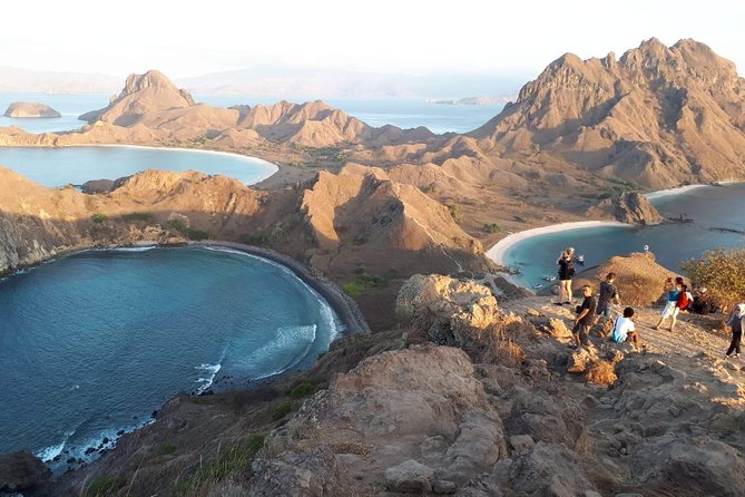 A Day to Komodo Island - What to Expect on the Trip