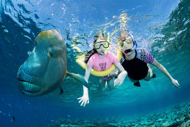 ABC Snorkel Charters Port Douglas Snorkelling Max 12 Passengers - Tips for Your Trip