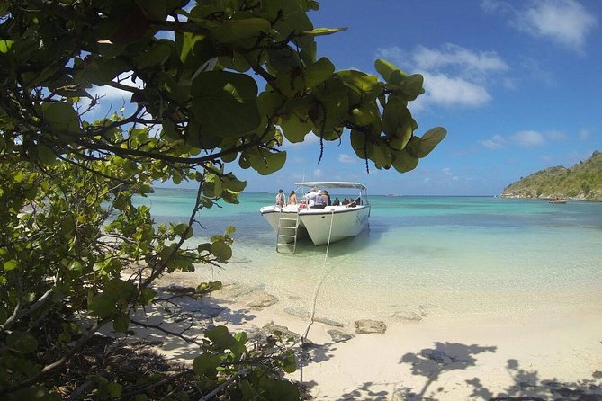 Adventure Antigua - Elis Original Eco Tour - Operator Information