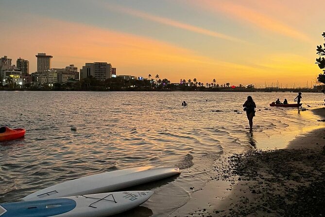 Afternoon Kayak and Paddleboard Tours in Condado Lagoon - Customer Reviews