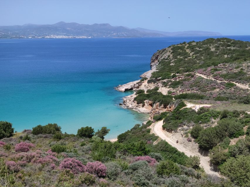 Agios Nikolaos: Toplou and Vai Palm Beach Day Trip - What to Bring