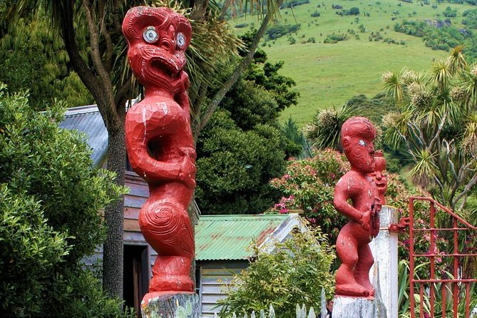 Akaroa and Banks Peninsula Wild Penguins Tour - Tips for a Great Experience