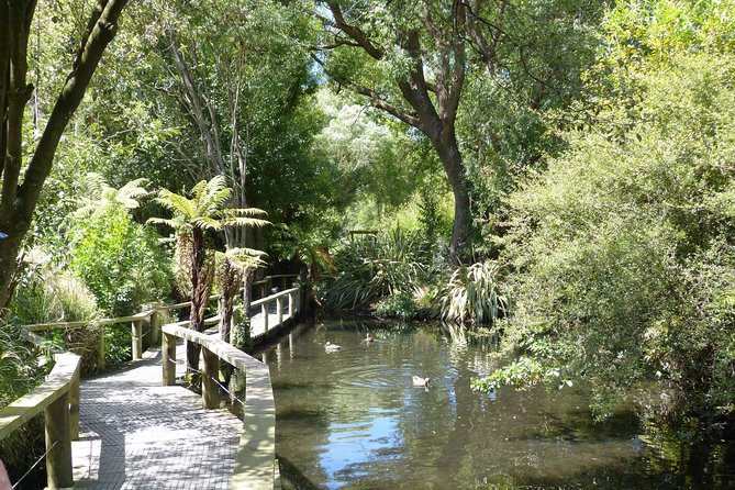 Akaroa Shore Excursion: Banks Peninsula, Christchurch City Tour and Willowbank Wildlife Reserve - Tips for a Great Experience