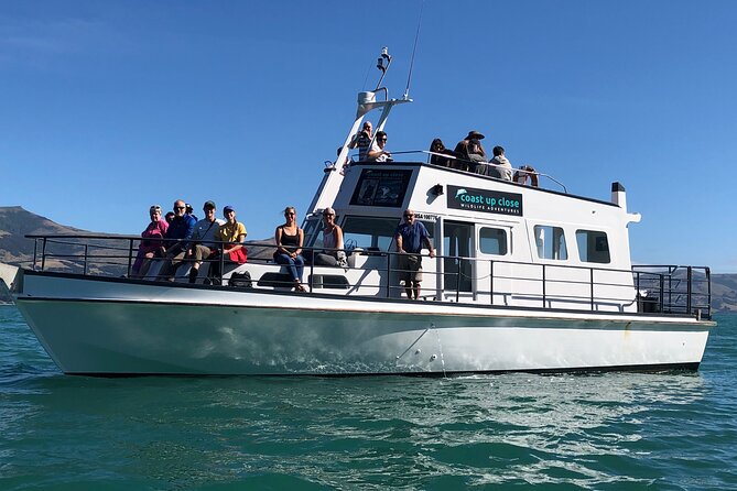 Akaroa Wildlife Cruise - Booking Your Adventure