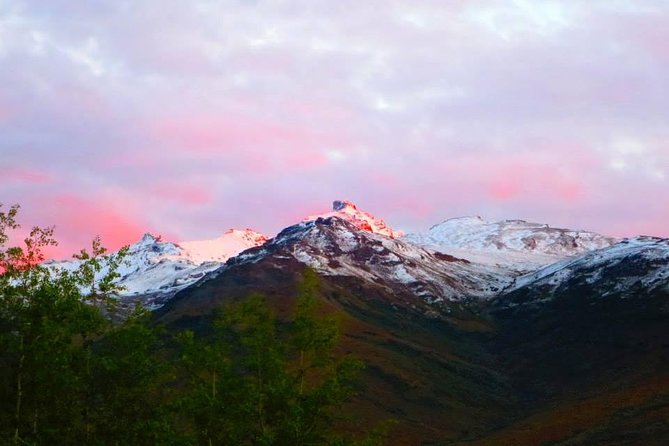 Alaskan Back Country Side by Side ATV Adventure With Meal - Booking Your Adventure