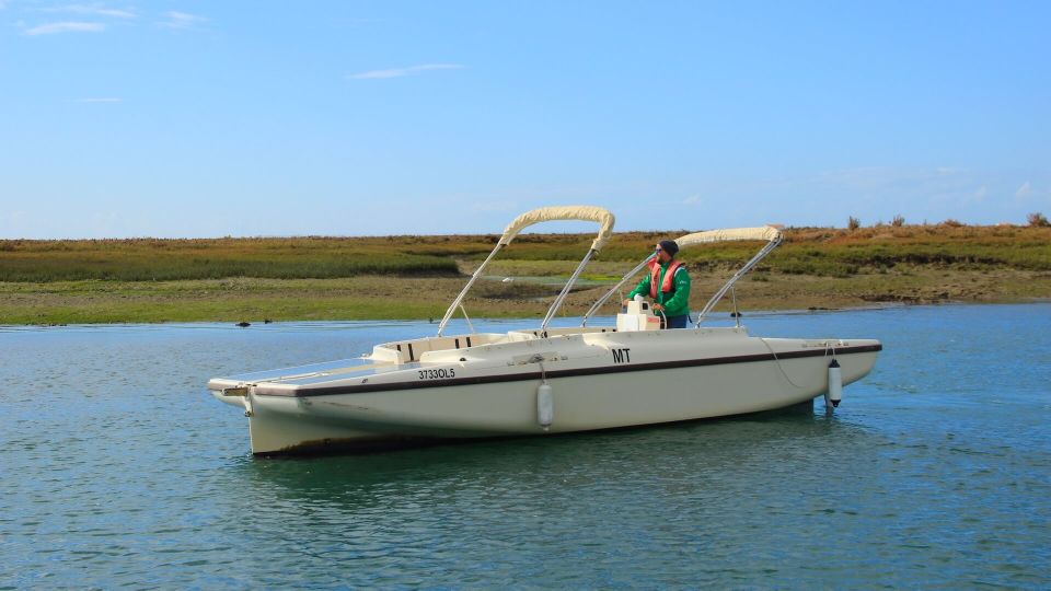 Algarve: Eco Boat Tour in the Ria Formosa Lagoon From Faro - Customer Reviews and Feedback