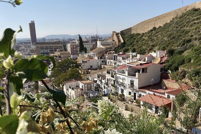 Alicante Historic Small Group Tour With Tapas Tasting - Positive Customer Feedback