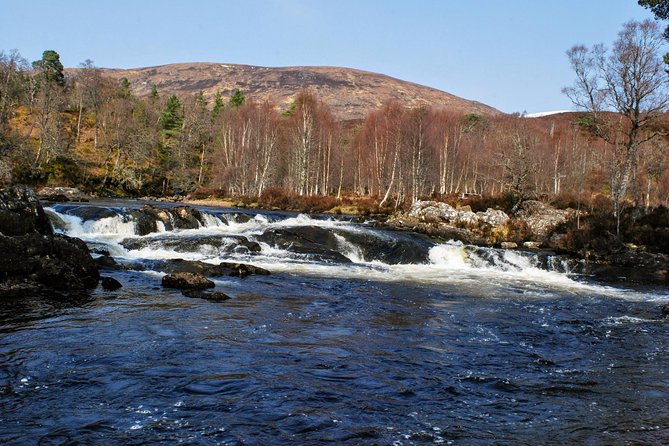 Alternative Loch Ness Tour by Secret Highlands - Supporting Local Businesses