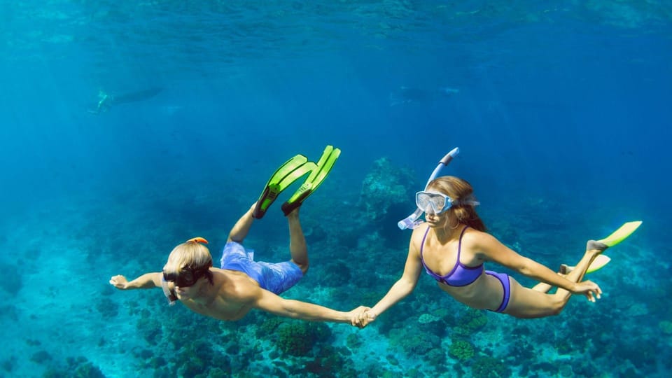 Amalfi Coast: Private Full-Day Tour With a 12-Meter Boat - Animal Policy and Guidelines