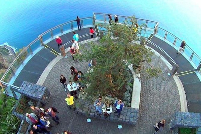 Amazing Skywalk, Wine Tasting & 4x4 Adventure + Dolphin Watching - Tips for Travelers
