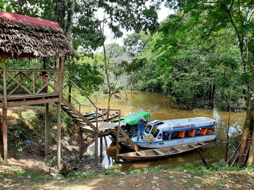 Amazon 2-Day, 1-Night Iquitos - Jungle Ancestors - Logistics and Inclusions