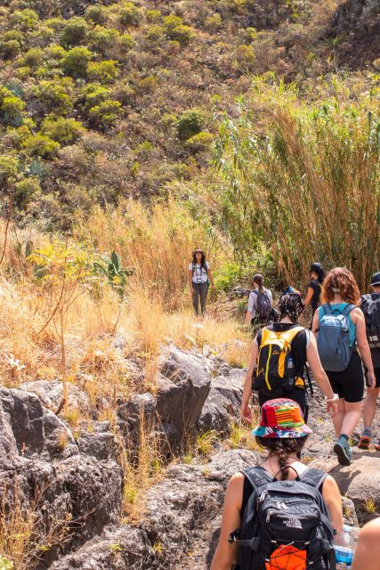 Anaga: Women Wise Footprints Tour - Guided Hiking Through Anaga