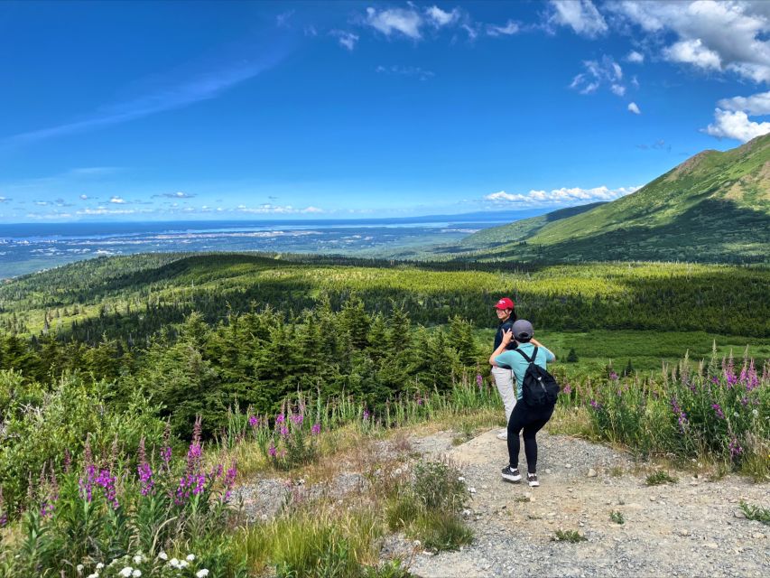 Anchorage: Mystery Sightseeing Tour - Wildlife and Vegetation